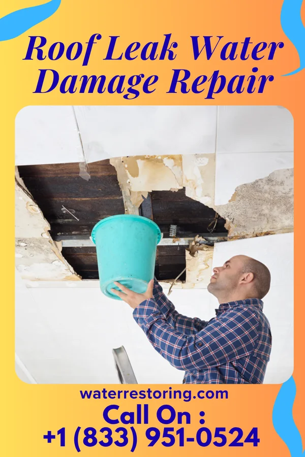 Roof Leak Water Damage Repair in Lingle, WY